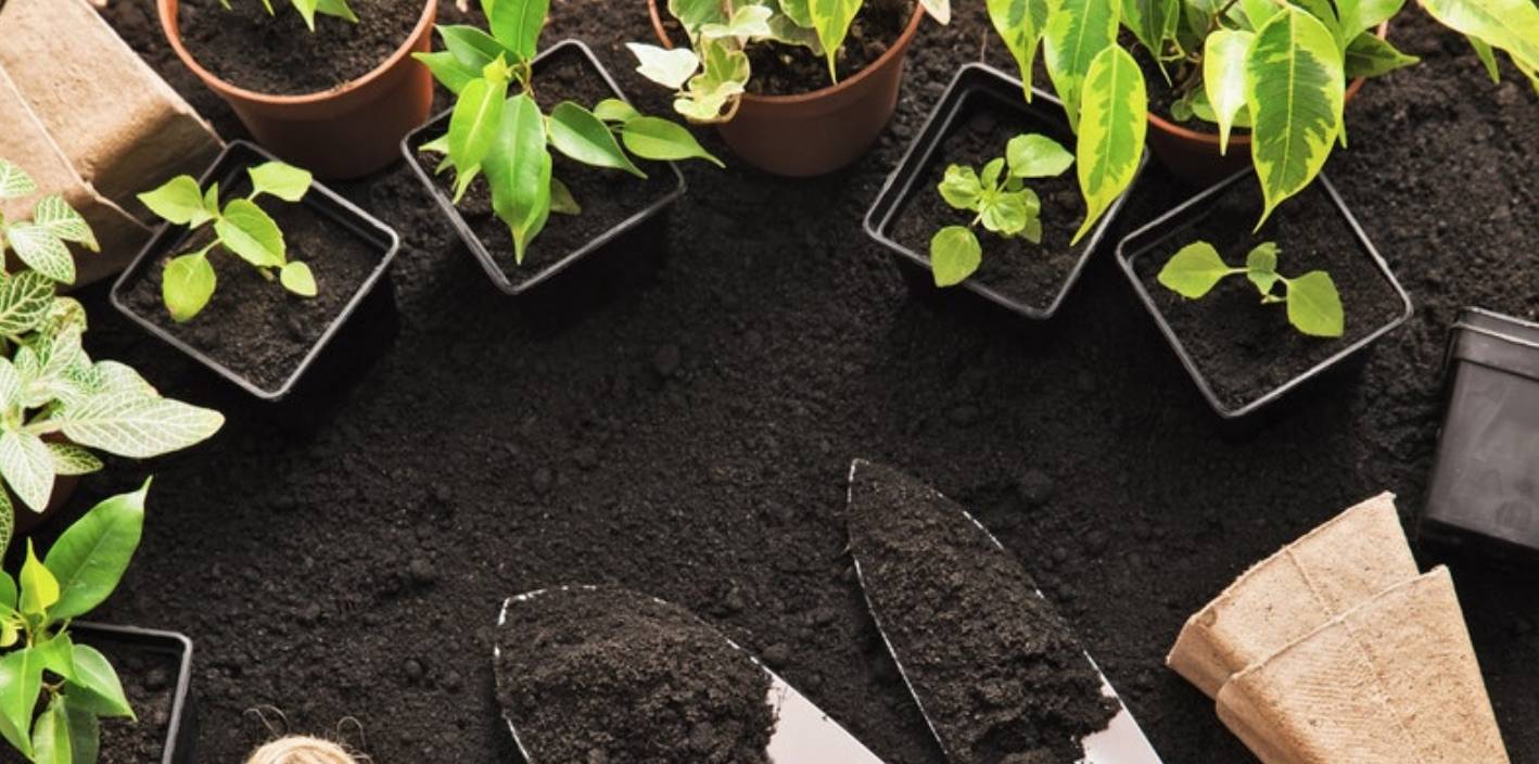 0cac8c9ea967af24789b_25c5d0a75465b8594b67_square_foot_gardening.jpg
