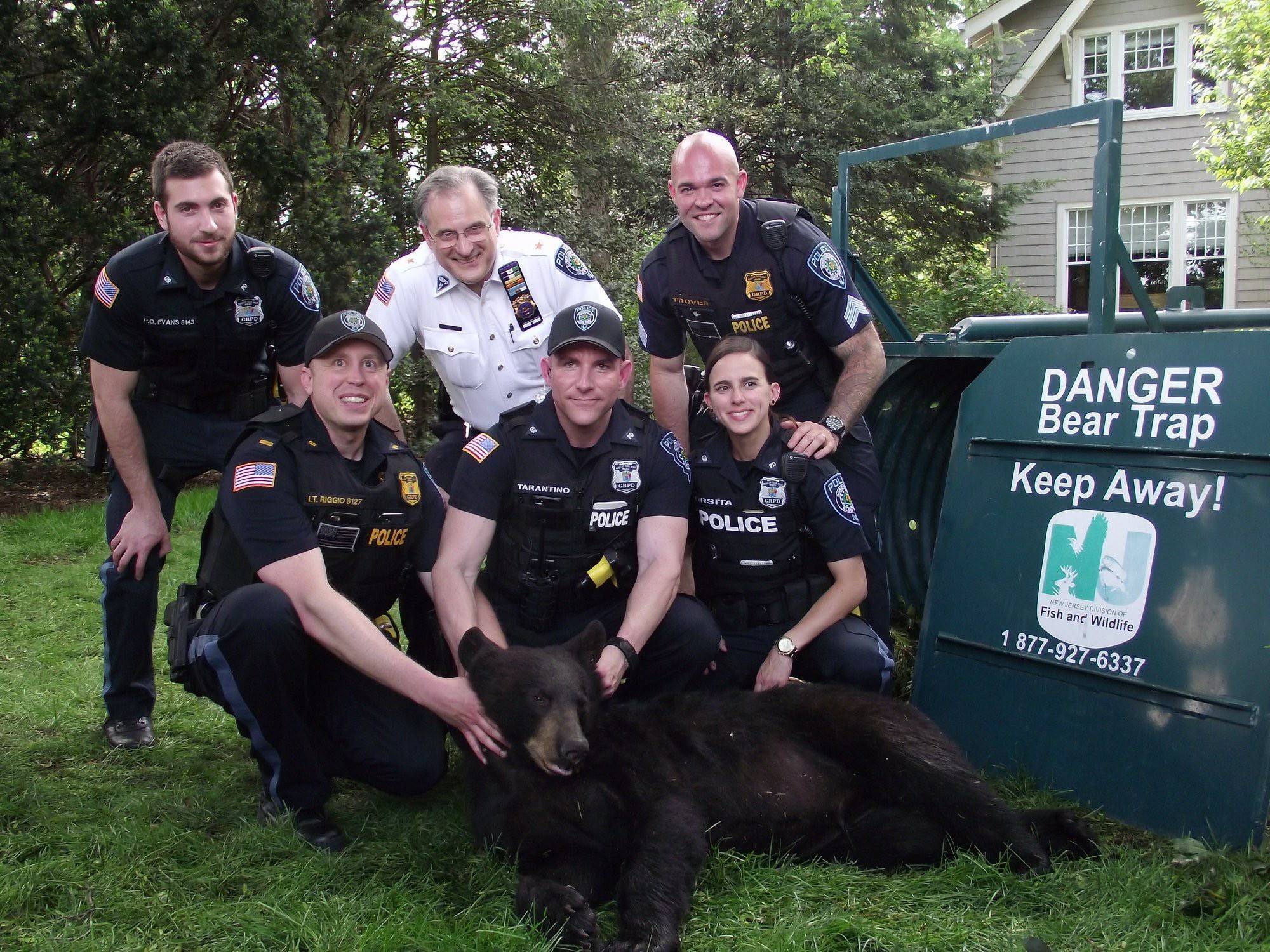 0cc9b5dee5ccad607af3_GR_Bear___FB_police_page_credite.jpg