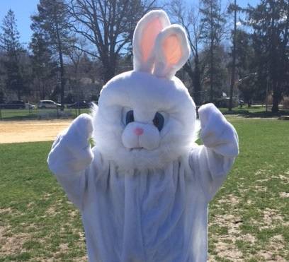 0d032fb08d21f7c7aa04_bunny.jpg