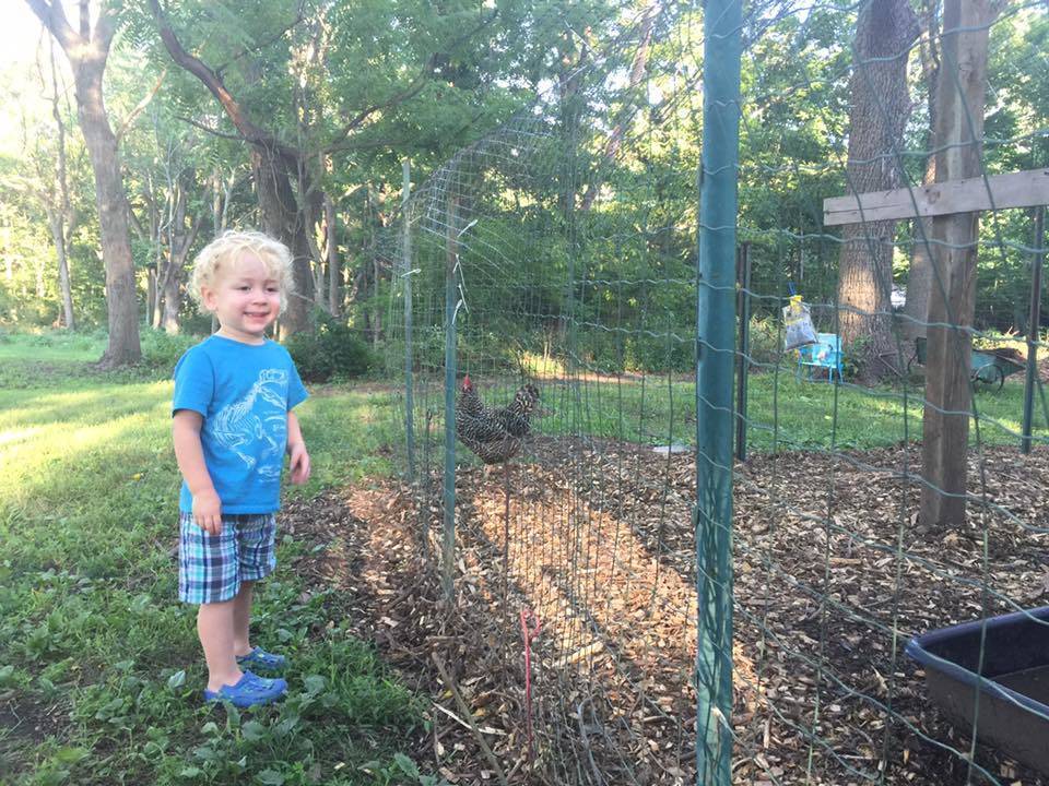 0dd22270271d661804e5_Backyard_chicken_with_kid.jpg