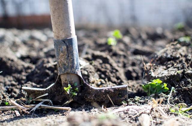 0e3a8e277b327dd6e193_gardener.jpg