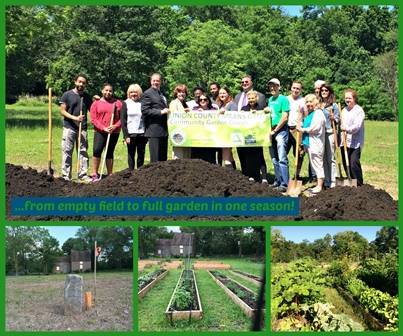 10509f63bcabb86726d8_Scotch_Plains_Garden_collage__small_.jpg