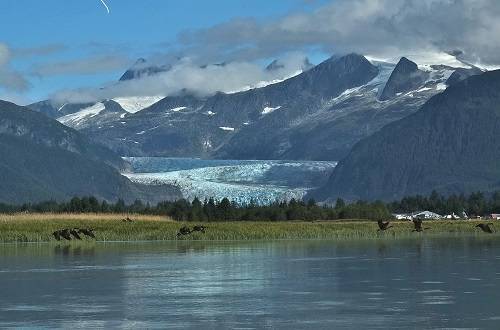 10ca3d9c0bda47b971ed_alaska-newsletter-image-1.jpg