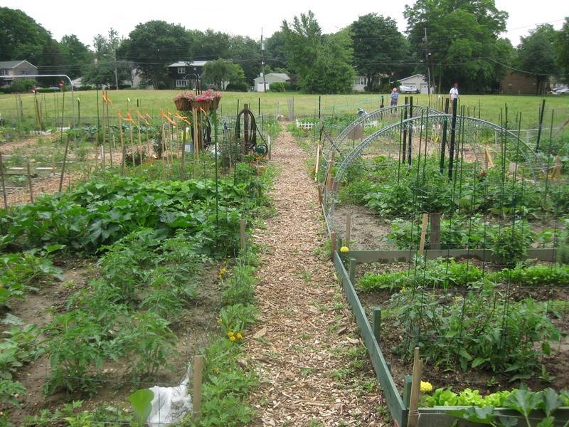 11c1c28df74fb173ea54_gardenplots2.jpg