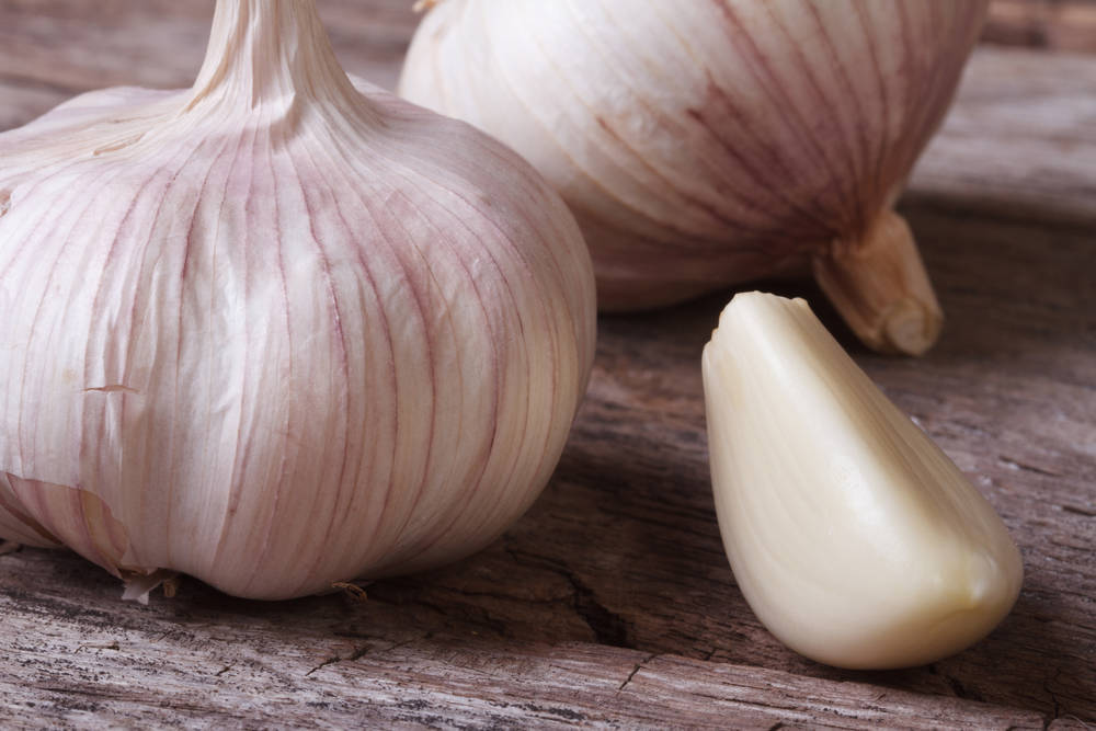 1221444627c91384eb0e_garlic__1_.jpg