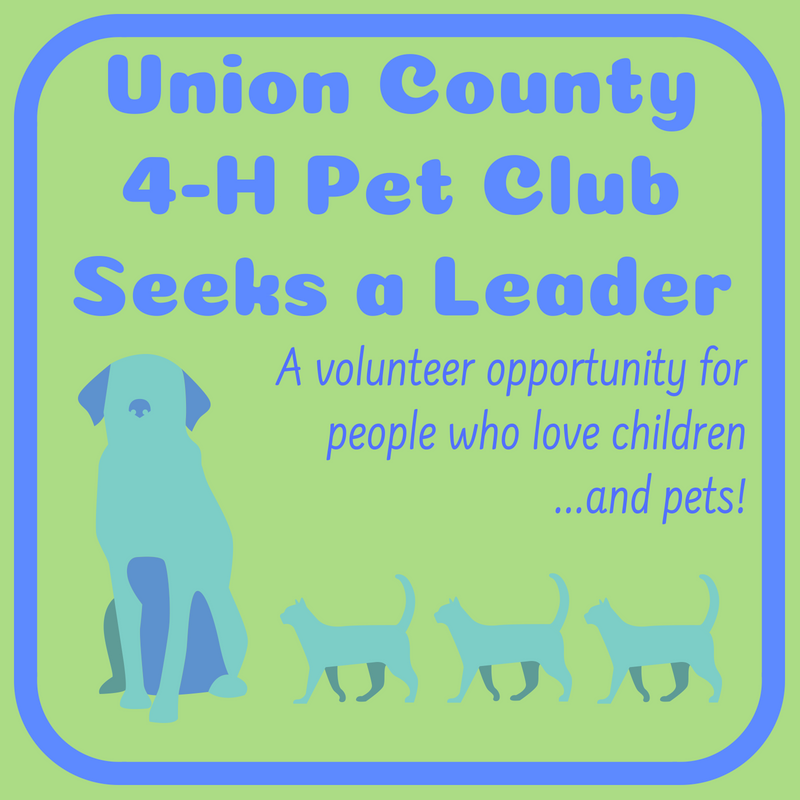 132ad813540d8f6f6054_4-H_Pet_Club_Seeks_Leader.jpg