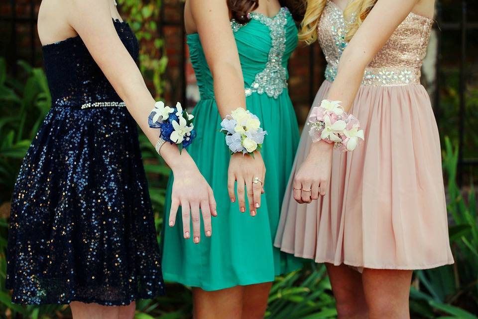 14fb35a2ccc1613e9c7d_Homecoming-Dress-Girl-Teen-School-Dance-Prom-2282561.jpg
