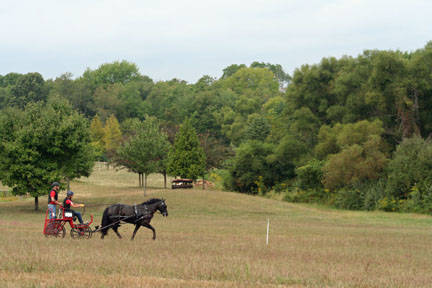 1515f6a80df40b207c06_Garden_State_Driving_Event_16.jpg
