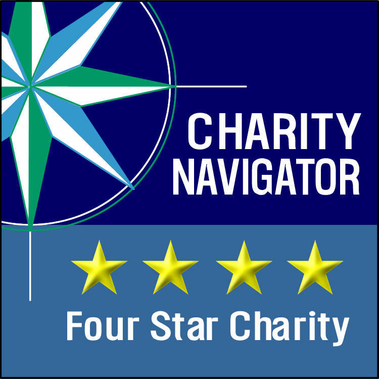 1517e58e528266f8e438_4StarSquare.jpg