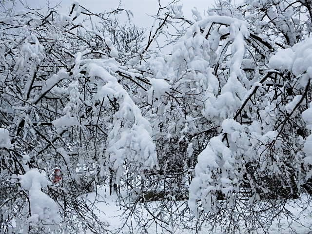 1a21f1558caf8d142417_weathernoreaster3-22-18.jpg