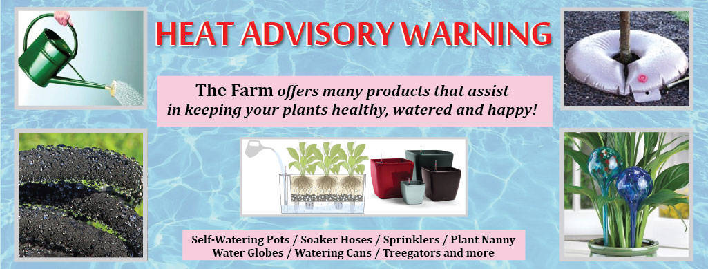 1b97745e37ce1a9bea76_H2Oh_HeatAdvisory.jpg