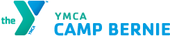 1ca535d163baa5d32399_camp_bernie.jpg