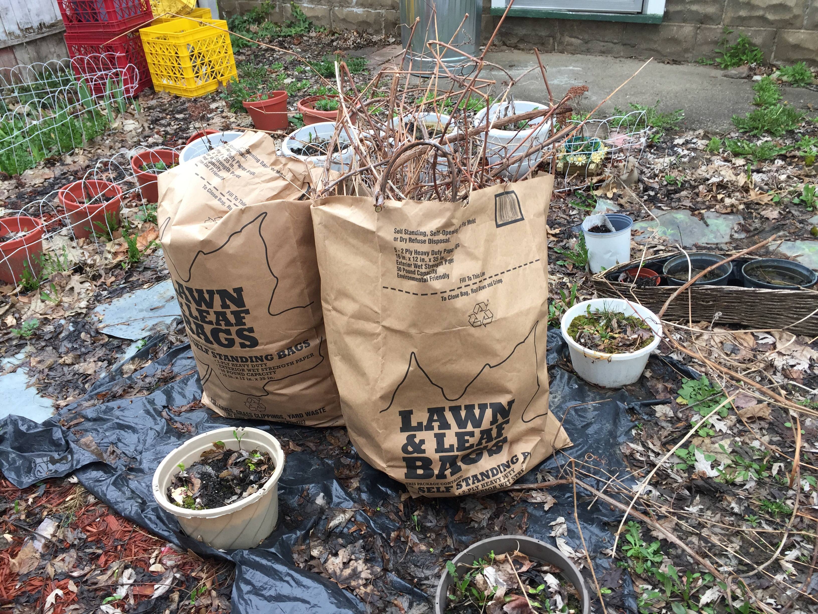 1d1266c526089dad10a3_Yard_Waste.jpg
