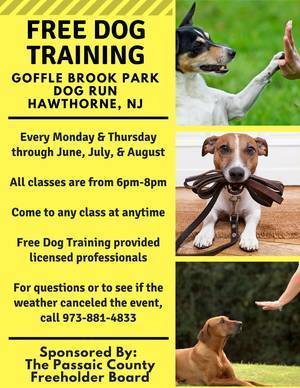 1d990b74434e20d34243_dog_training_2018_.jpg