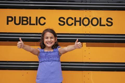 1dc8102ca1c7a643846a_288989b69a1cb65a79fc_publicschools3.jpg