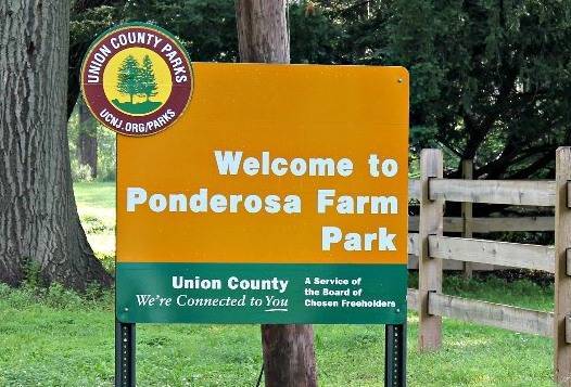 1f186a178ad2748a1e47_Ponderosa_Park_sign.jpg