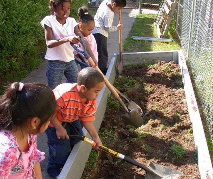 1f1afe2935b5145c09ab_5cba6329178cbb5bf125_kids_dig_in.jpg