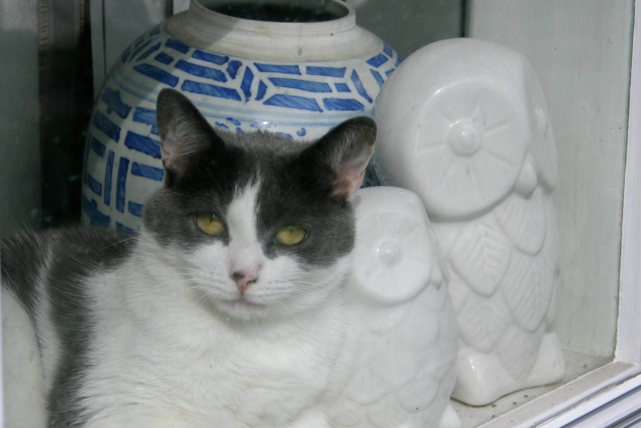 20886b0e597d1c0bb632_Lola_and_Friends.jpg