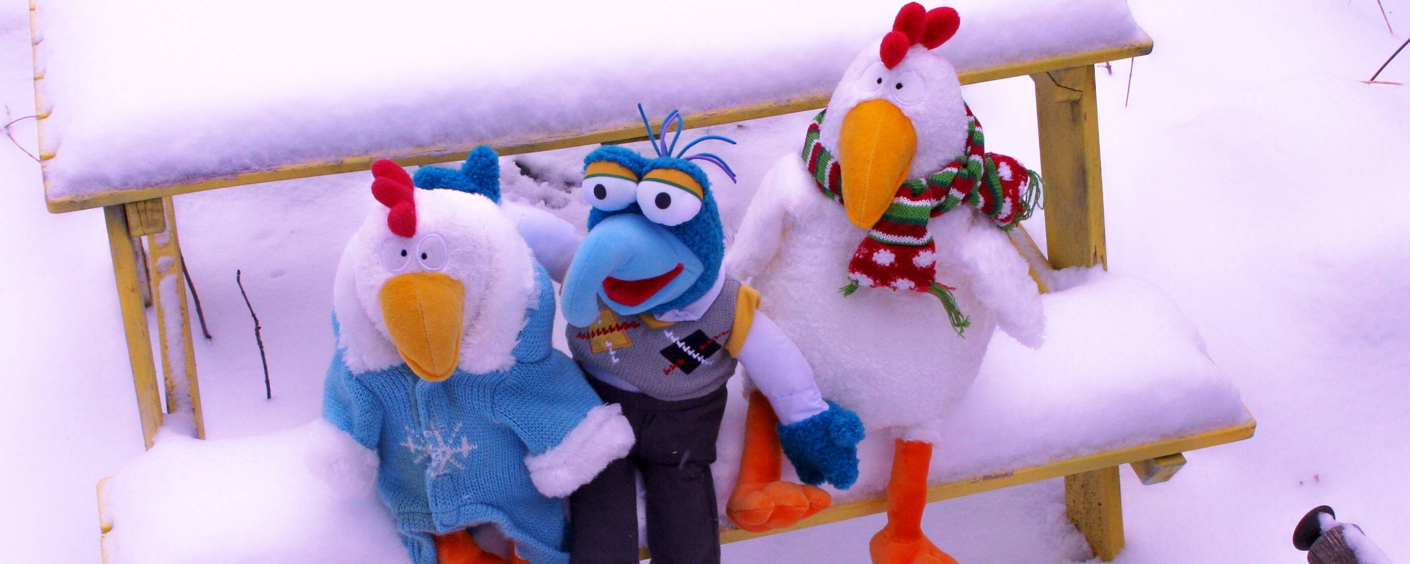 21bf3d9d647568e36314_Snow_Day_063.jpg