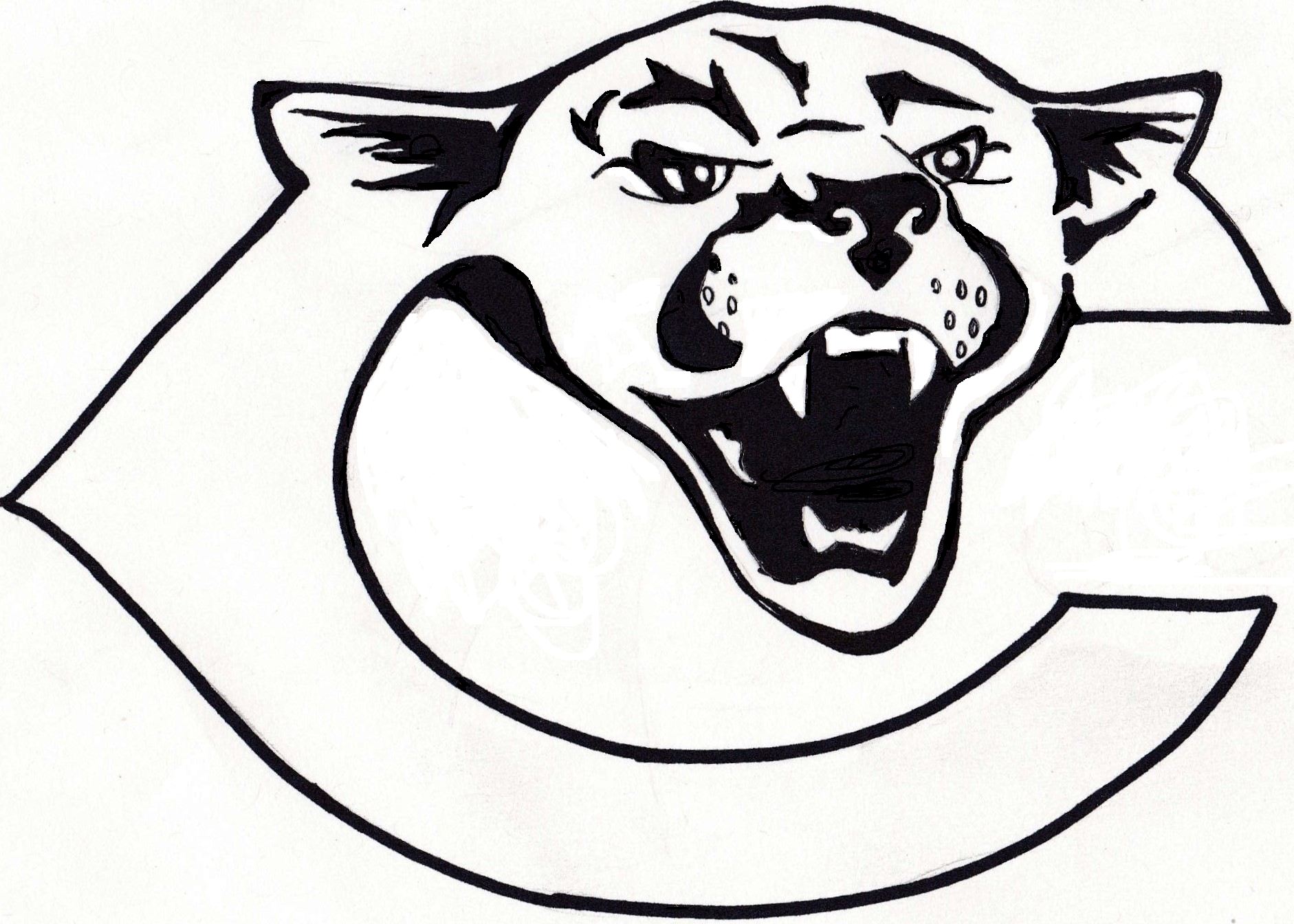 227a9525d353a5e5d8ac_Cougar_pic.jpg