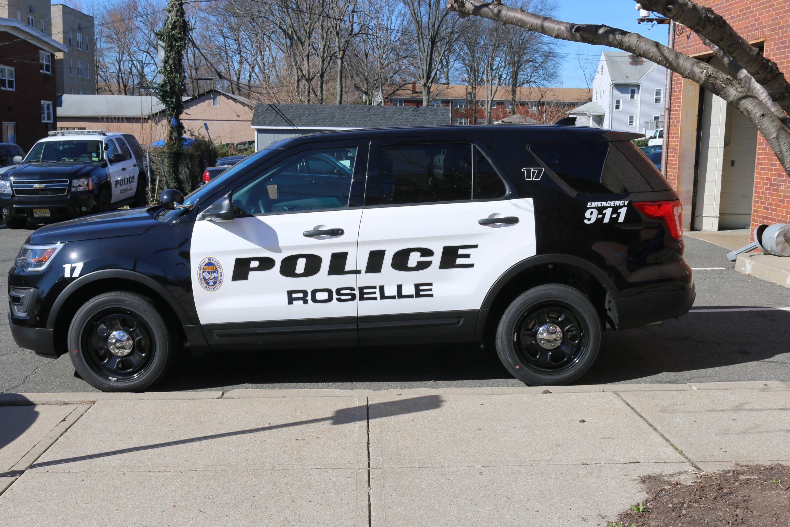 2394c1c8070b702736e0_Roselle_Police_Car.jpg