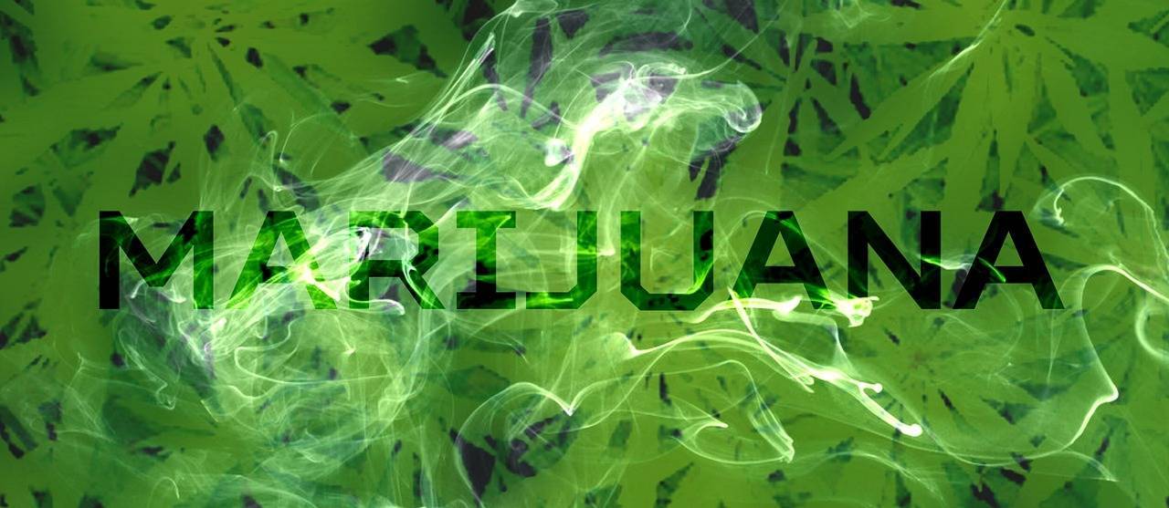 23d1e565dc6bfbe5fd1a_marijuana-1915024_1280.jpg