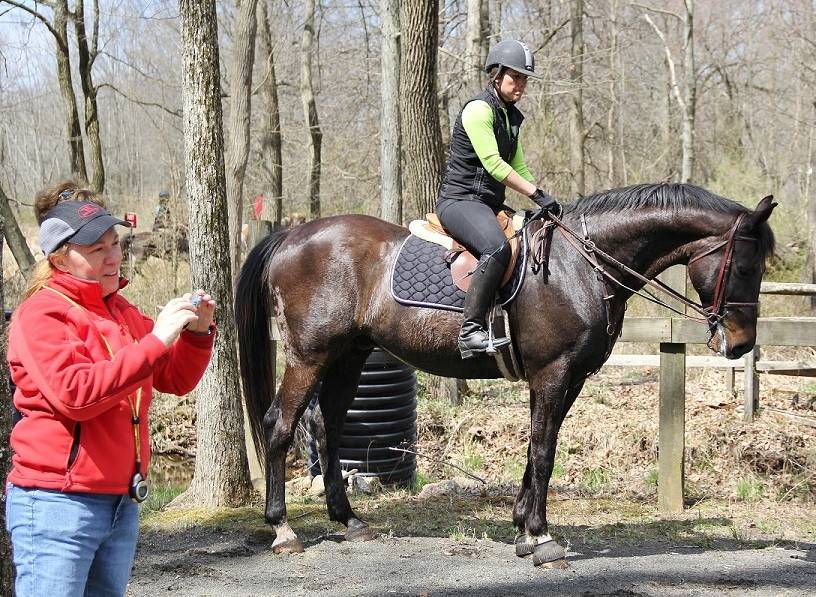 245888f07cbb2e2d36a7_sompixhunterpacehorse.jpg