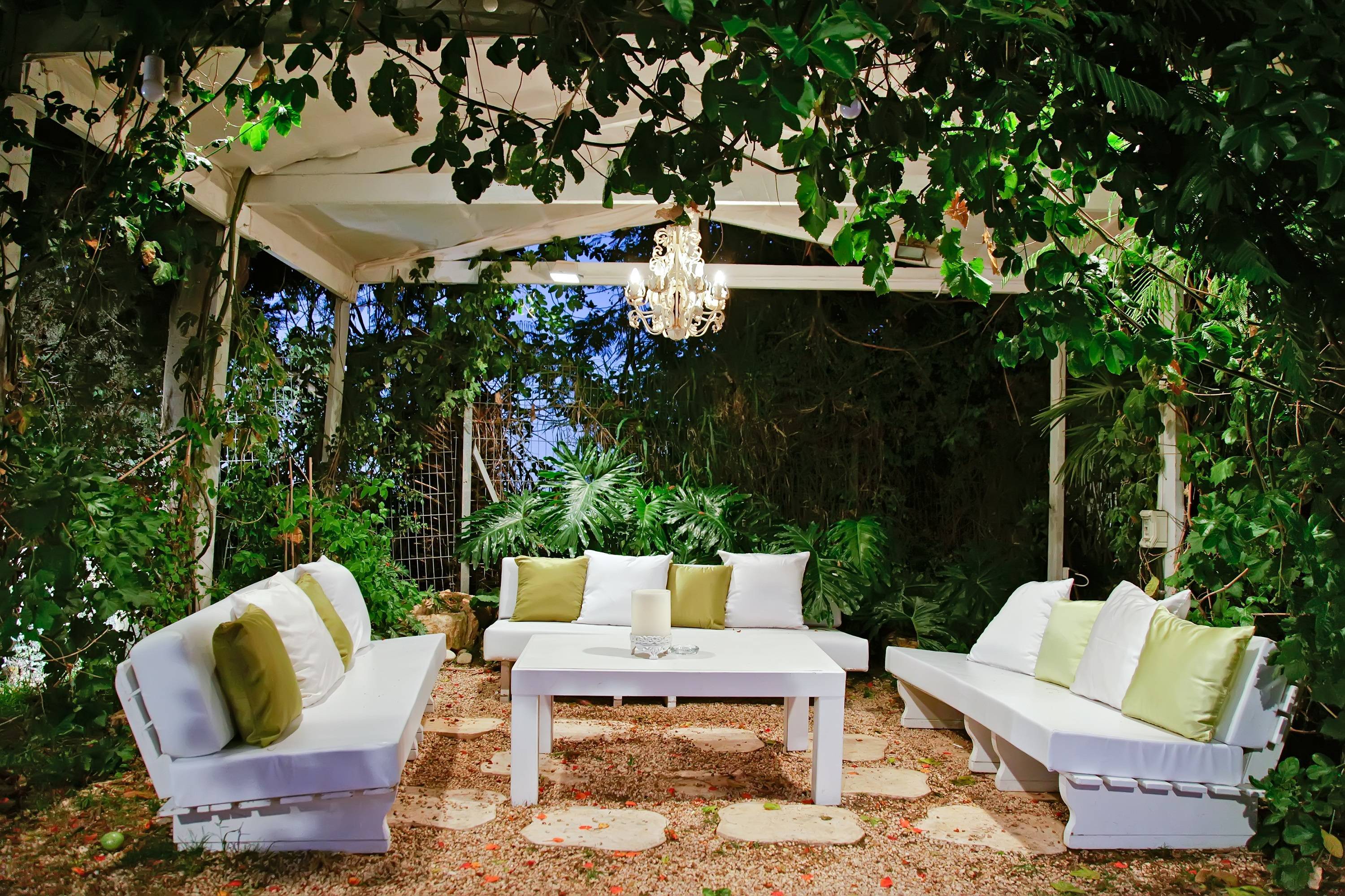 2816333974b5c596e3a3_back_yard_white.jpg