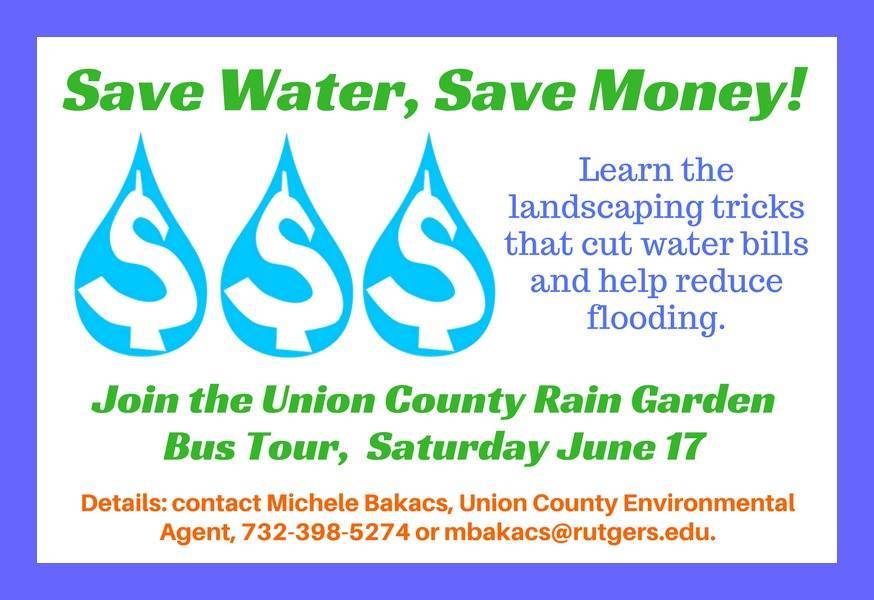 2b5b536a7334d6758e33_Rain_Garden_Bus_Tour_graphic.jpg
