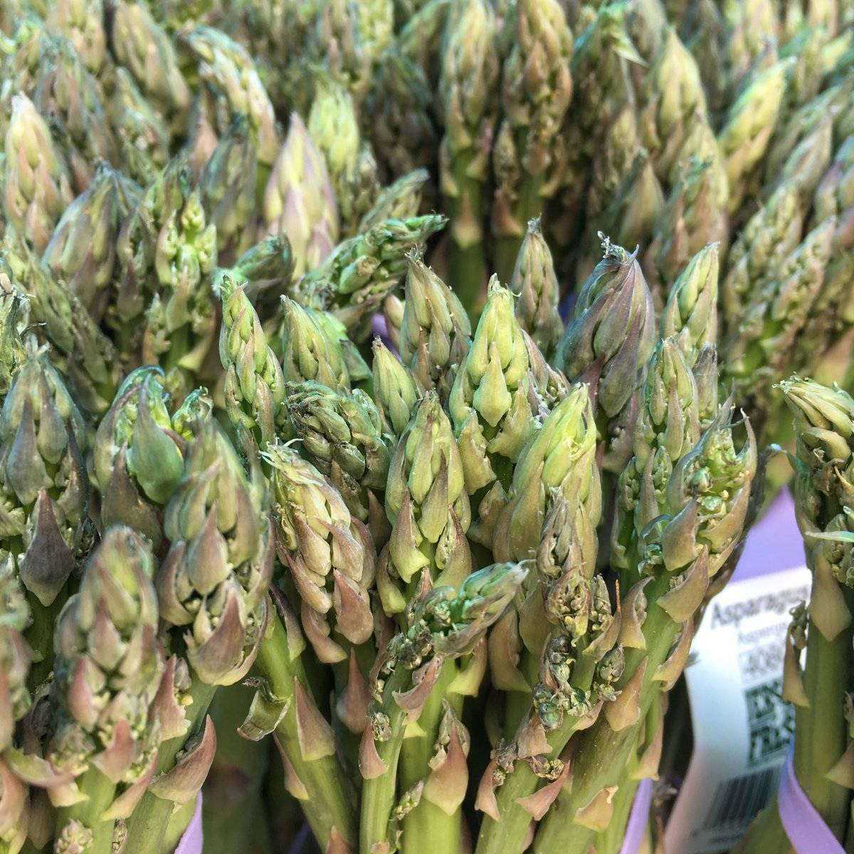 2bc0e09da345c2189600_Asprocolas_Acres_June_2018_c.jpg