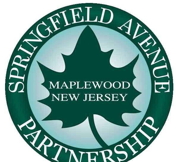 2bd7db3065f06fb51768_Springfield_Ave_Partnership.jpg