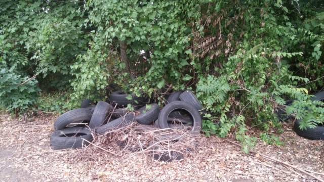2e9e42a7e2e7b0ac7a3d_tires_dump_behind_North_Avenue.jpg