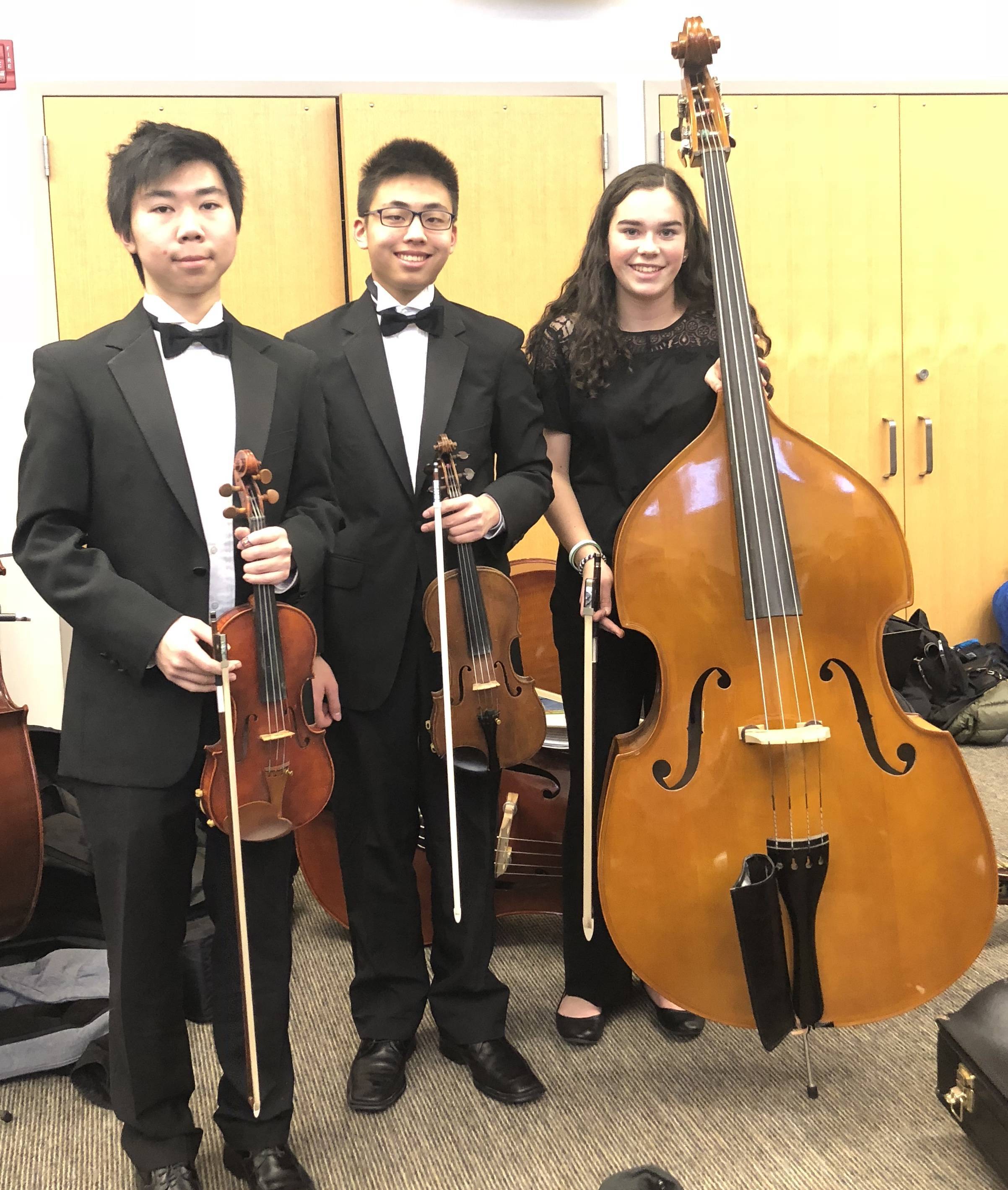 2fd58e34c300ea049313_WHS_orchestra_students_at_Jan_1_regional_concert.jpg