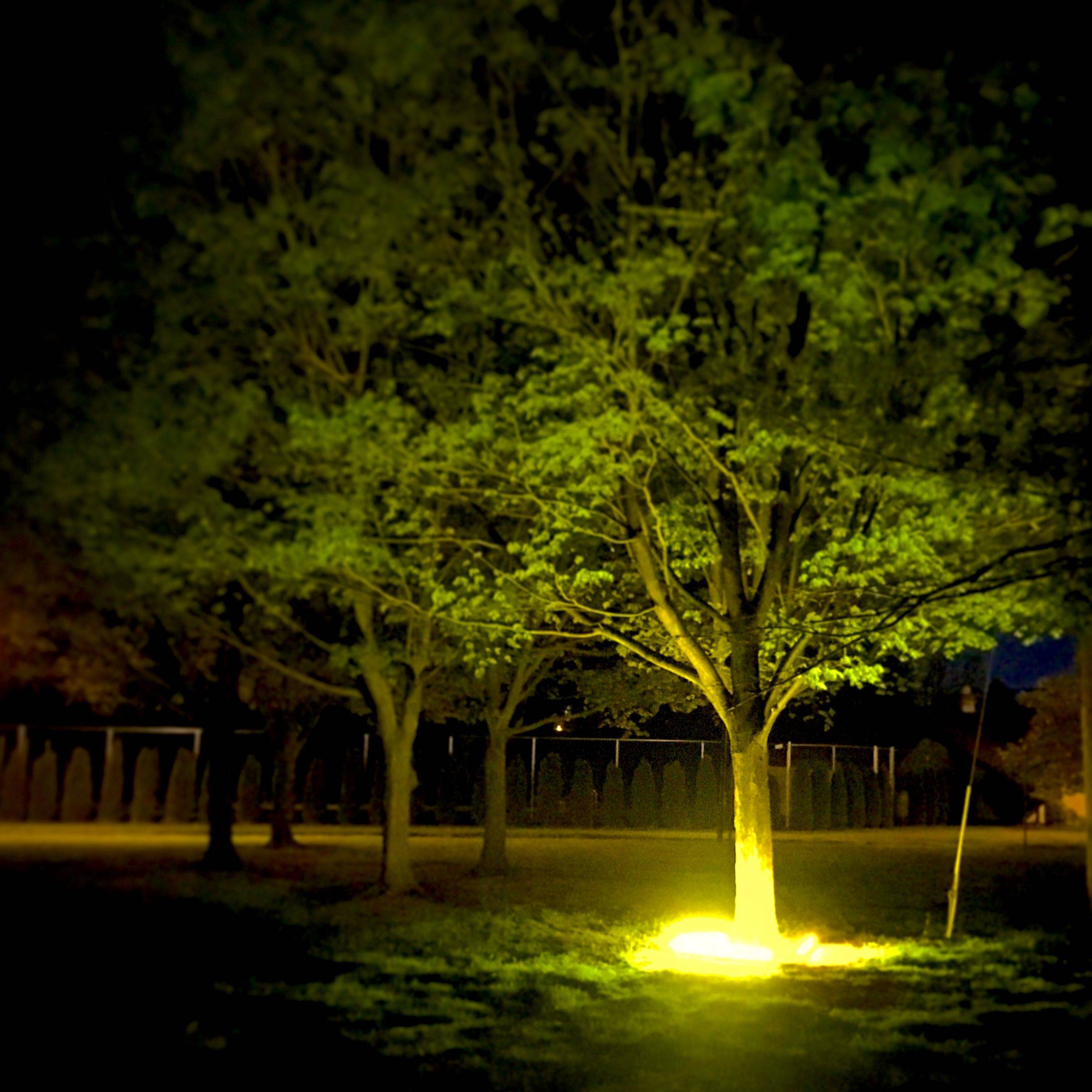 312b119eaa598b675550_lighting_installation.jpeg