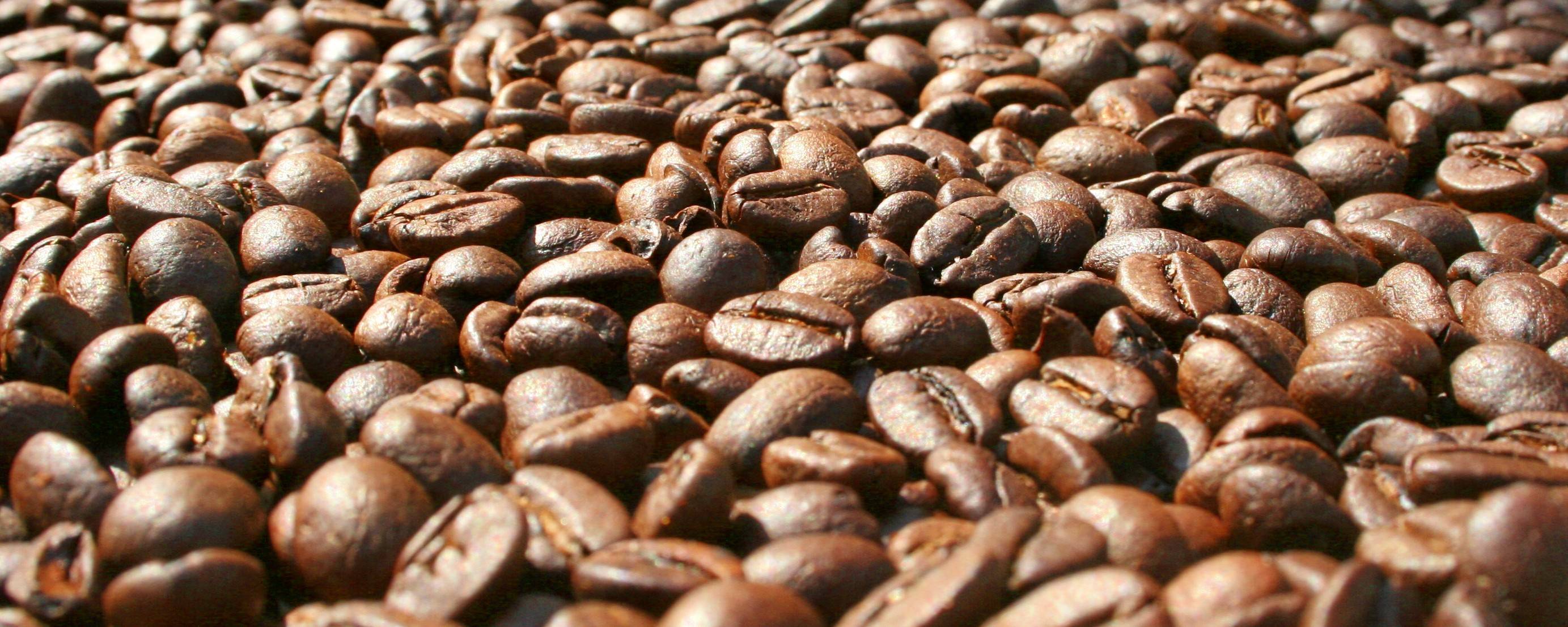 32771bd6da813a374d71_Coffee_Beans.jpg
