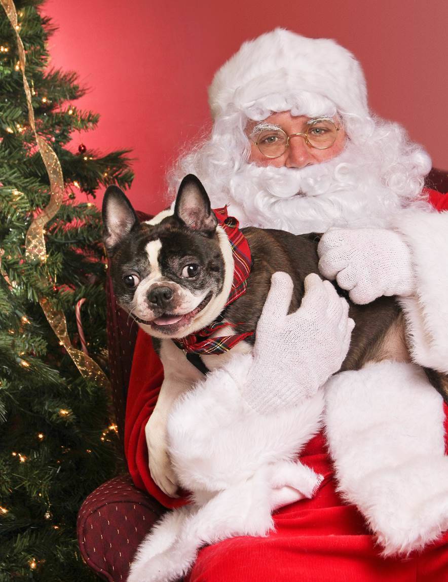 Unique Photo to Host Holiday Pet Portraits with Santa to Benefit Mt