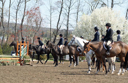 33d55f60d2d2ed38a999_horse_show.jpg