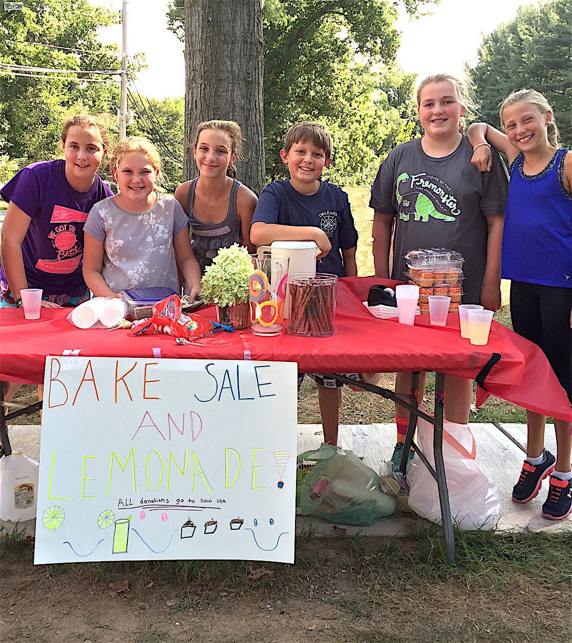 35b8bb69130809a24215_970f4e771f26bb9dd955_Lemonade_Stand.jpg