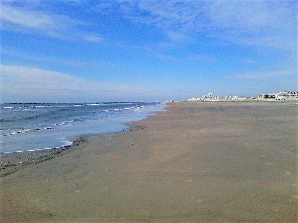 35bdf9b080476d22bafd_wildwoodcrestbeach.jpg