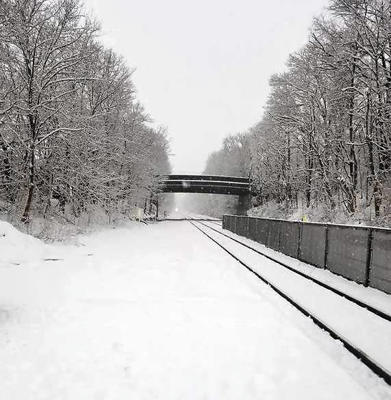 363fbbe3319ebe3fedbb_snow_on_April_2.jpg