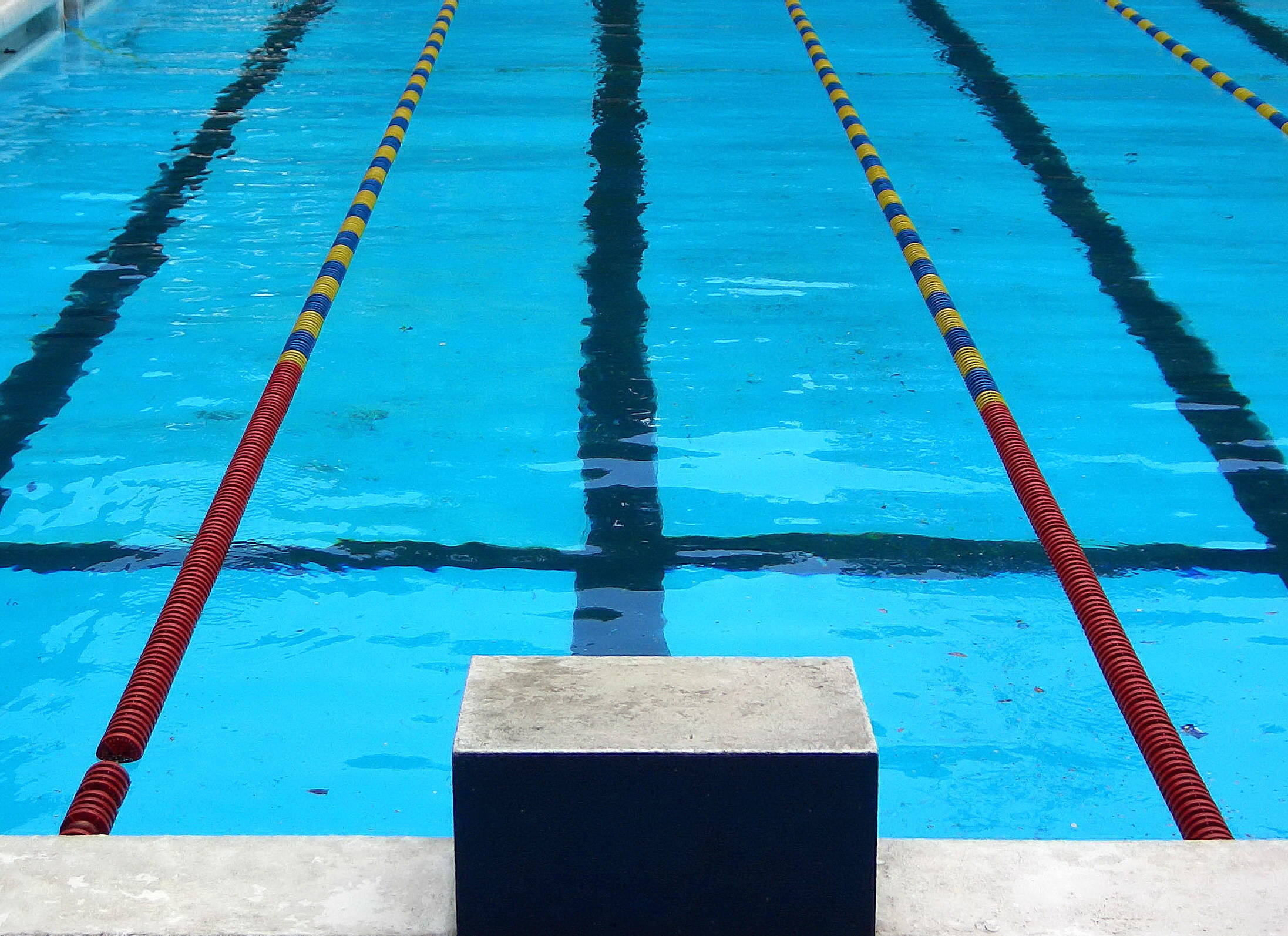 3767f01a361877af7fcd_Competition_swimming_pool_block.jpg