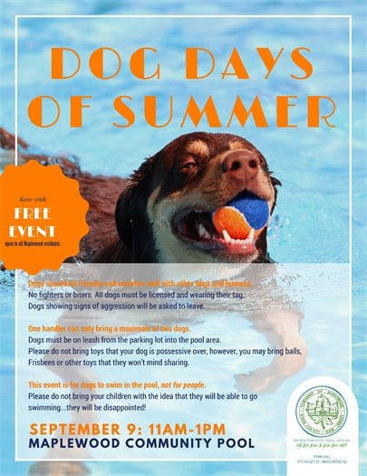 39405e8e03572c14449b_dog_days_of_summer.jpg