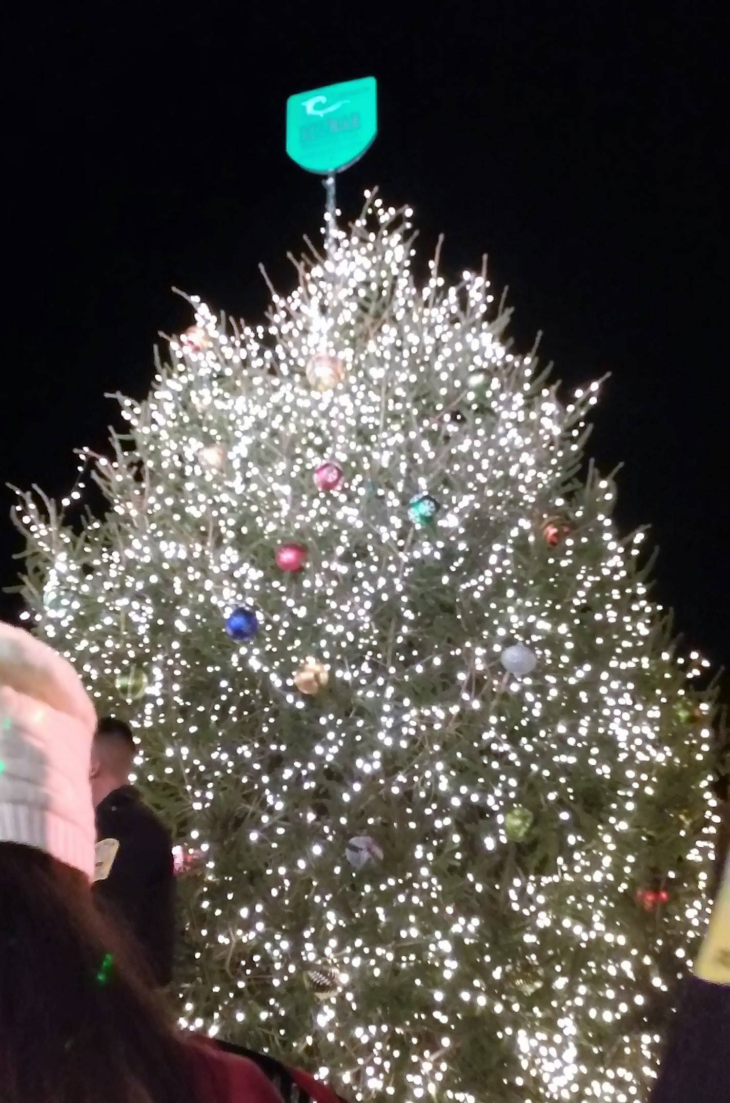 396bca9bbe77263418a1_belmartreelighting-4.jpg