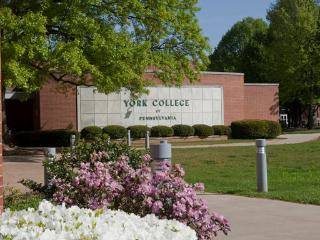 39ca9f932c99aa97a035_YorkCollegeSignage-320x240.jpg