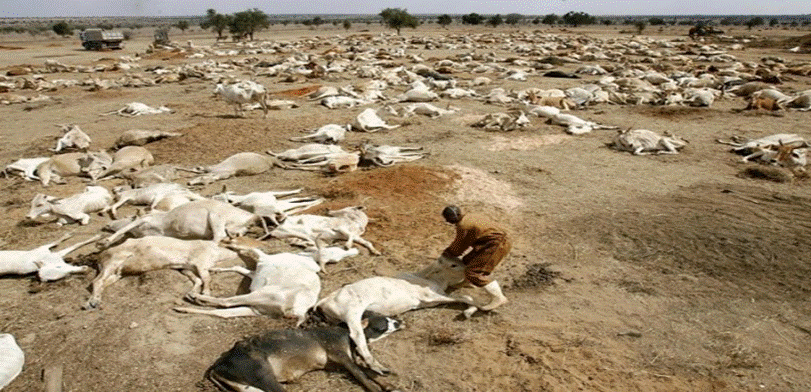 3ab62e5b13e8cb5b134c_Outreach_-_African_Jwelry_sale_photo_-_0cd1d7cde2e41e6de3288f7b79196893.gif