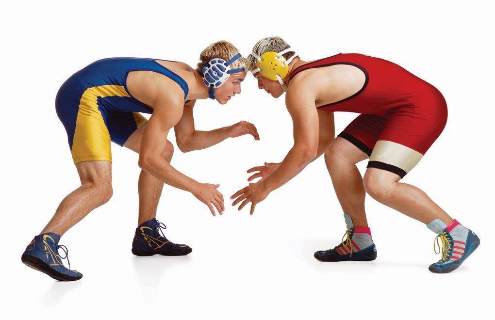 3ab83473d97c18ba7b6d_wrestling.jpg