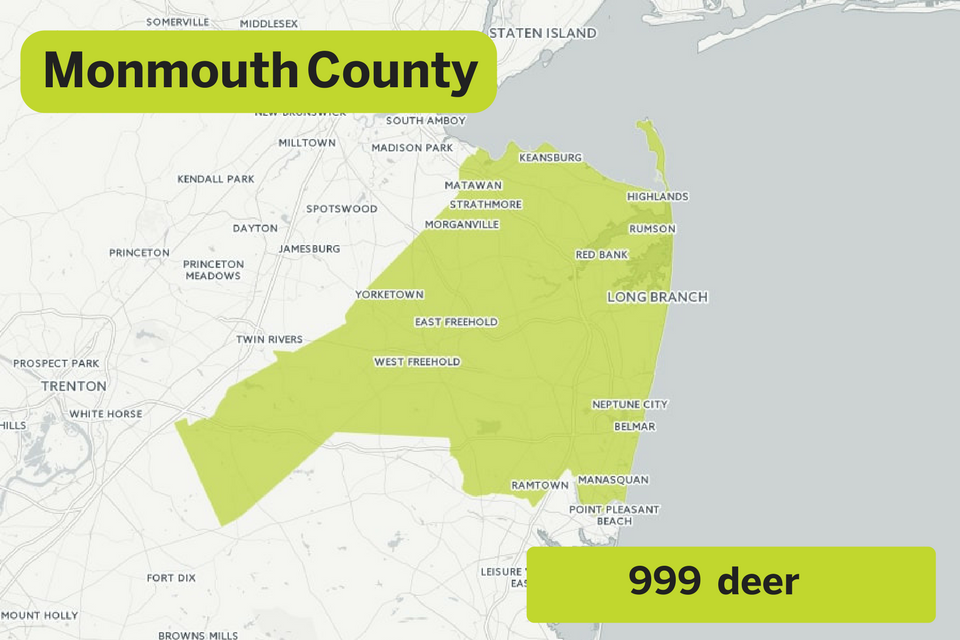 3b56b63164e0a49d68dc_MonmouthDeadDear.jpg