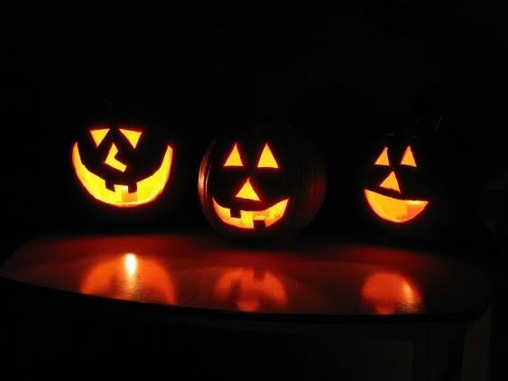 3c0d462393c5da0fb5cb_mini_magick20171020-14115-cem8fo.jpg