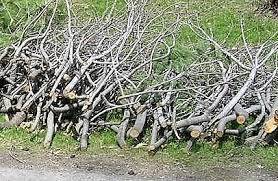 3c2ed933040492f5bf60_branch_collection.jpg