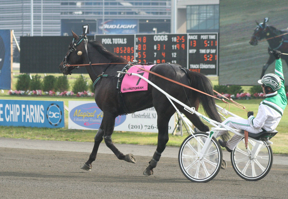 3d9a06ef70f024fb6e90_Trixton_after_2014_Hambletonian.jpg